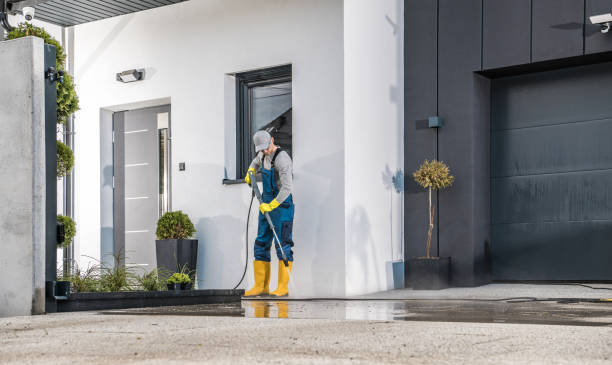 Best Soft Washing  in Del Rio, TX